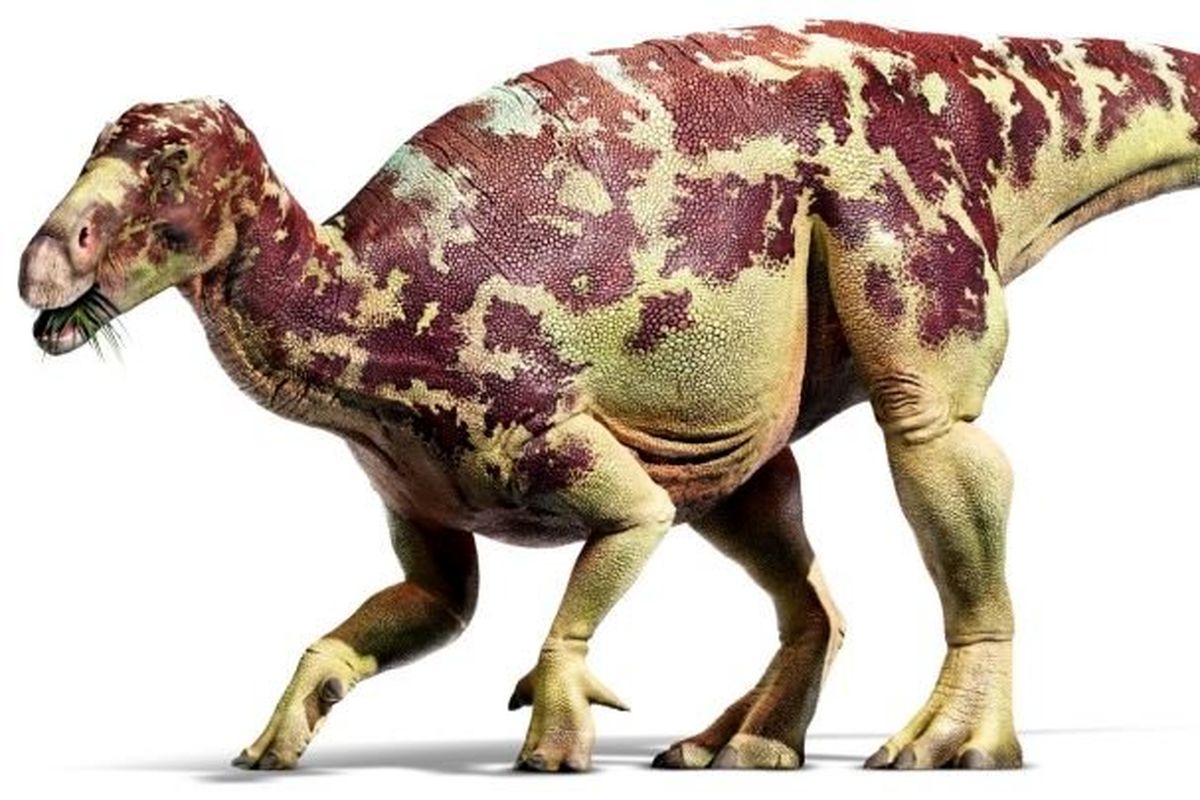 دایناسور 132 میلیون ساله در کارخانه آجرپزی کشف شد