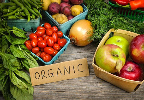 هر آنچه باید در مورد محصولات ارگانیک بدانید/ مزایا و مضرات محصولات ارگانیک 