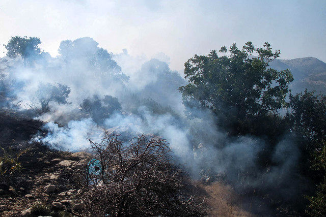 "گراس" عامل آتش سوزی هفته گذشته در میانکاله