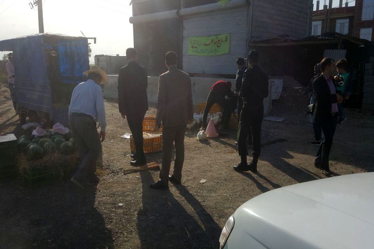برخورد با عرضه کنندگان غیر بهداشتی مرغ زنده در پارس آباد
