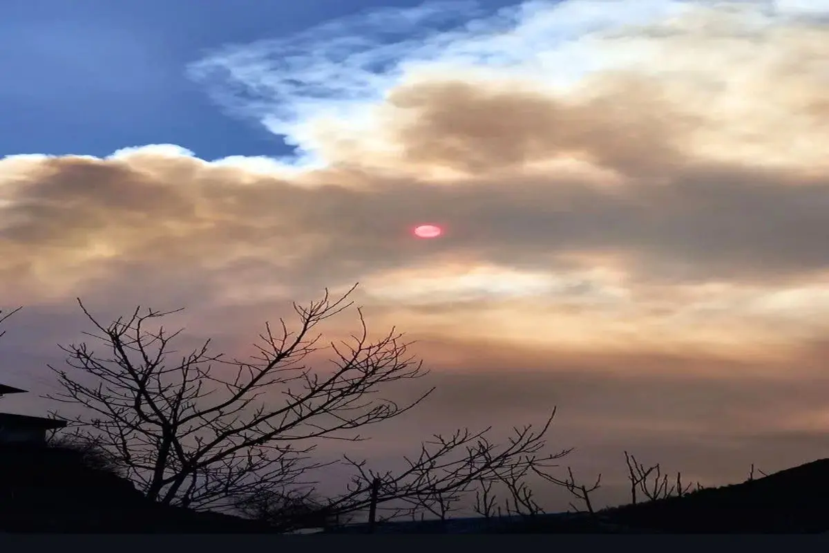 آتش‌سوزی جنگل‌های الیت