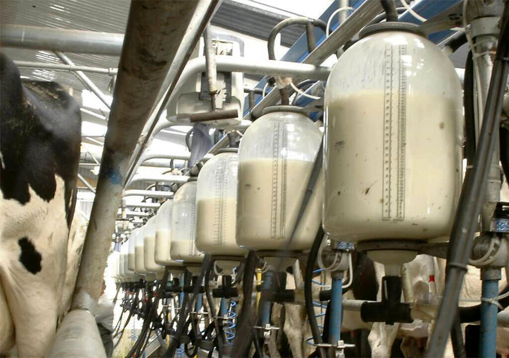 قیمت مصوب شیر، کمتر از هزینه تولید آن برای دامداران است