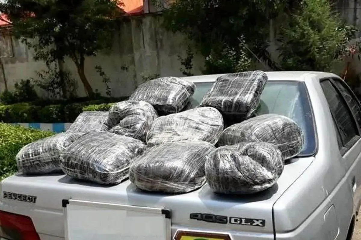 کشف مواد روانگردان