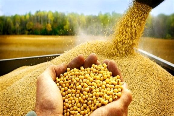 اصلاح سامانه بازارگاه نهاده‌ های کشاورزی در دست پیگیری و اقدام است