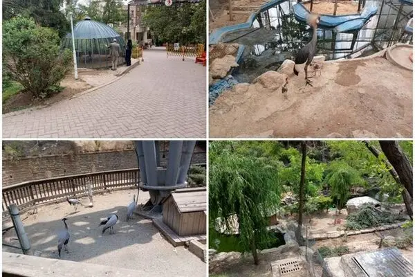 مراکز نگهداری حیات وحش در شهر تهران بازدید سرزده شد