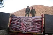کشف ۷۴ تن برنج خارجی قاچاق با دستگیری ۹ نفر در لرستان