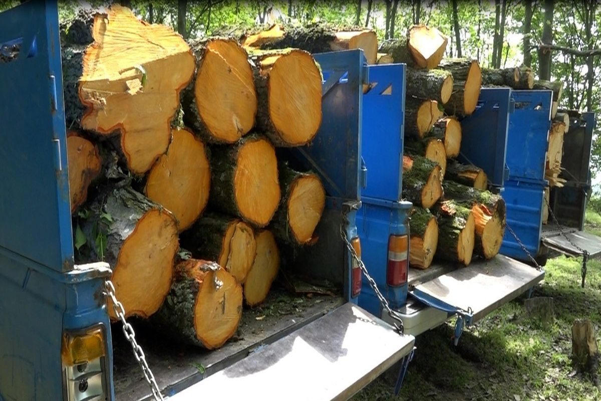 شناسایی و توقیف کامیون حامل ۵ تن چوب جنگلی قاچاق 