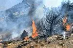 هزار اصله نهال در آتش هزارمسجد از بین رفت