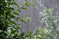 وزش باد و بارش باران در غرب مازندران