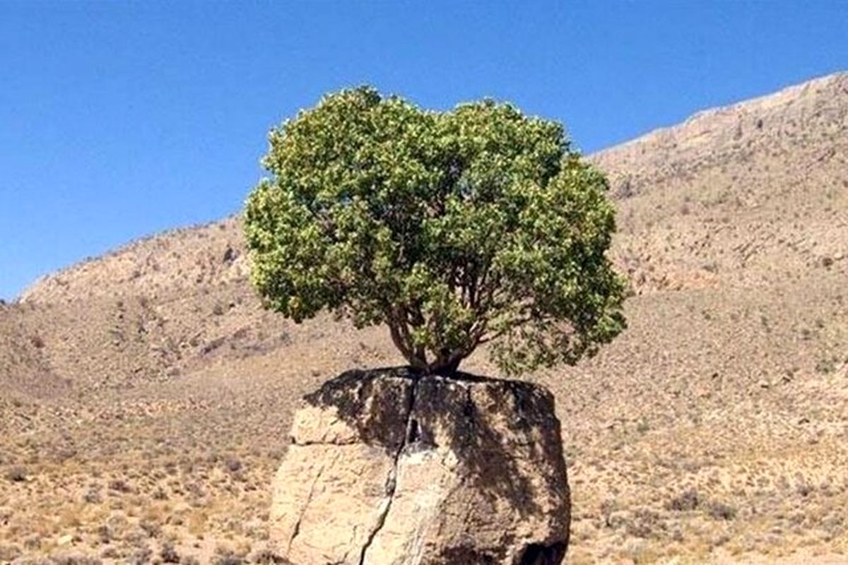 ۲ میراث طبیعی فارس در فهرست آثار ملی ایران ثبت شد