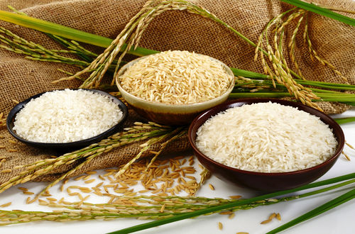 واکنش دبیر انجمن برنج به گرانی برنج ایران در جهان