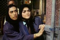 فیلم جعفر پناهی در ۲۰ فیلم برتر تاریخ جشنواره ونیز قرار گرفت