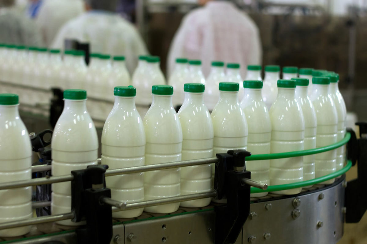 ۱۰ میلیون تن شیر خام تولید می‌شود
