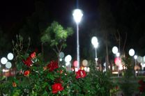 سیستم روشنایی بوستان نارون قم اصلاح و به‌زودی تکمیل می‌شود
