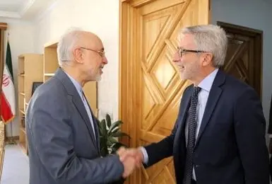 دیدار صمیمانه سفیر فرانسه با علی‌اکبر صالحی در بنیاد ایران‌شناسی