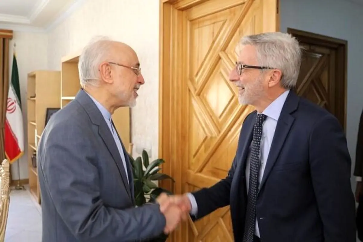 رئیس بنیاد ایران‌شناسی