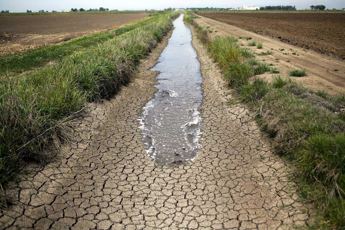 102 میلیون متر مکعب آب در کشاورزی صرفه جویی شد