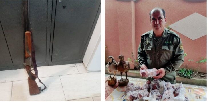 دستگیری 16 متخلف شکار و صید در دو شهر مازندران