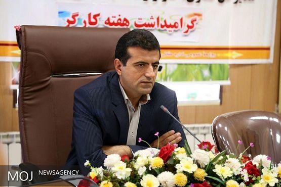 برگزاری جشنواره کارآفرینان برتر در کردستان همزمان با سراسر کشور