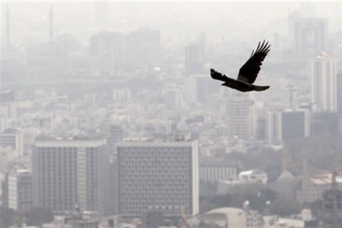 آلودگی هوای پایتخت تا فردا ادامه دارد / هشدار به بیماران قلبی و ریوی