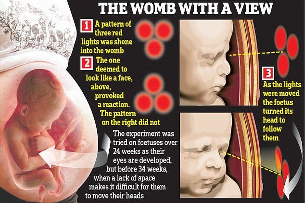 جنین از رحم مادر شروع به تشخیص چهره‌ها می‌کند