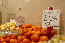 ۶ بازار میوه و ترهبار جدید فردا افتتاح میشود