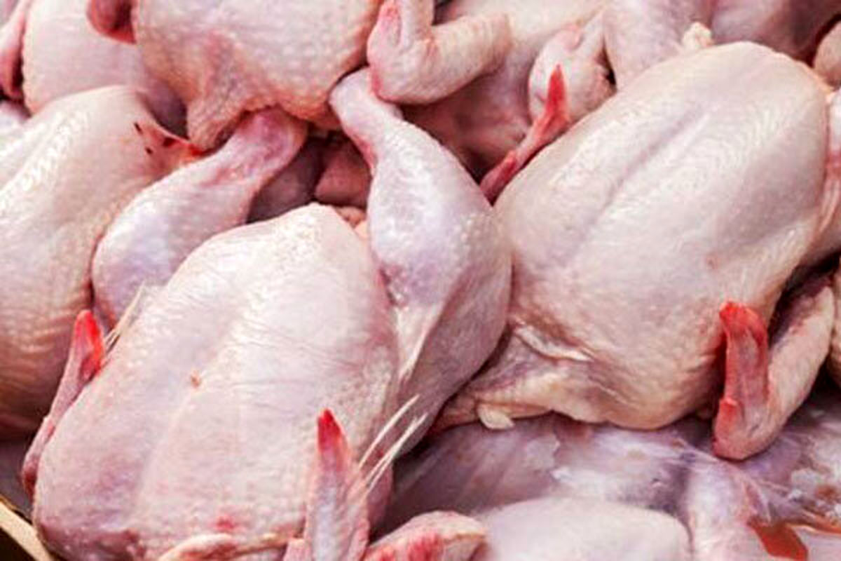قیمت هر کیلو مرغ در همدان 59 هزار و 800 تومان است