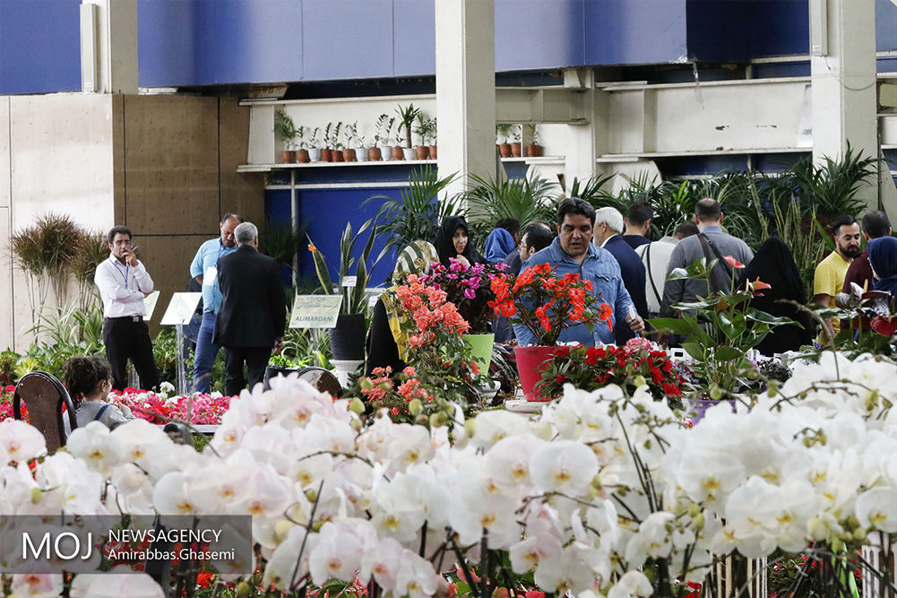 اولین نمایشگاه تخصصی گل و گیاه و باغبانی یزد در آستانه نوروز